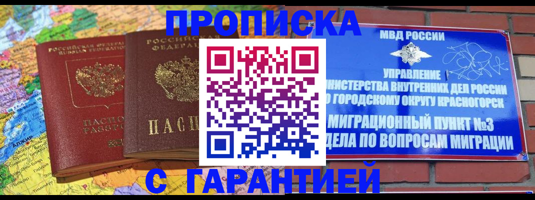 прописка для школы в Луге